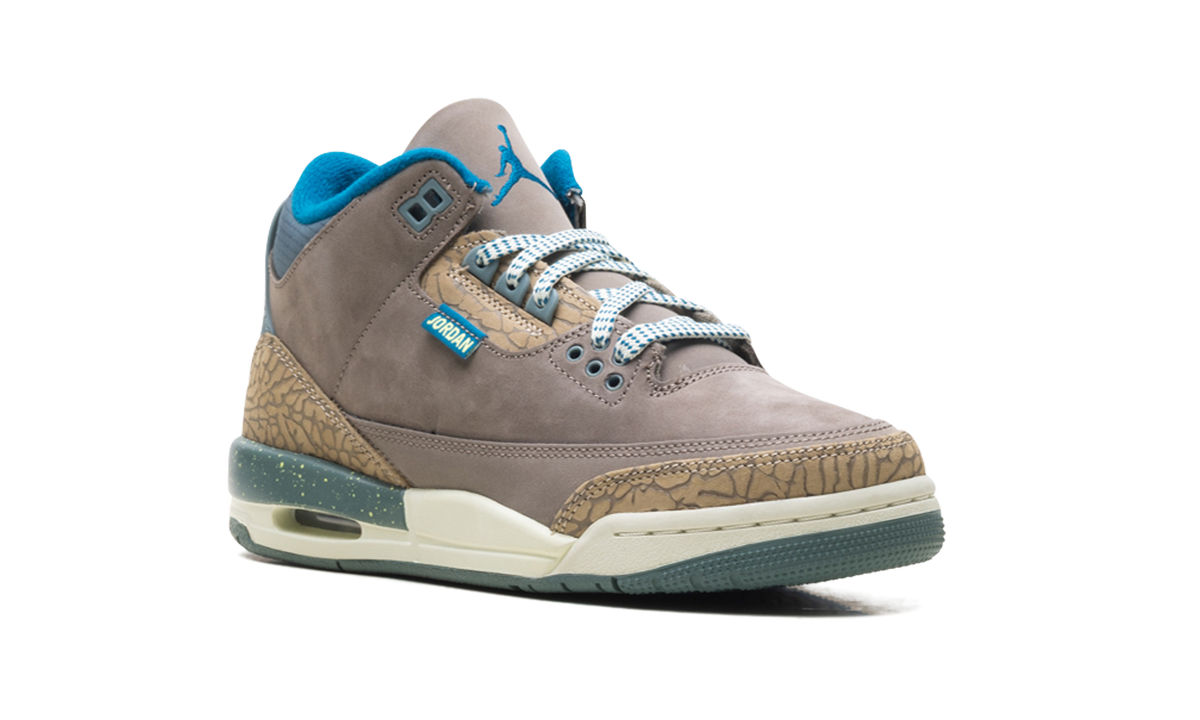 Air Jordan 3 GS "We Outside" IB7066 001