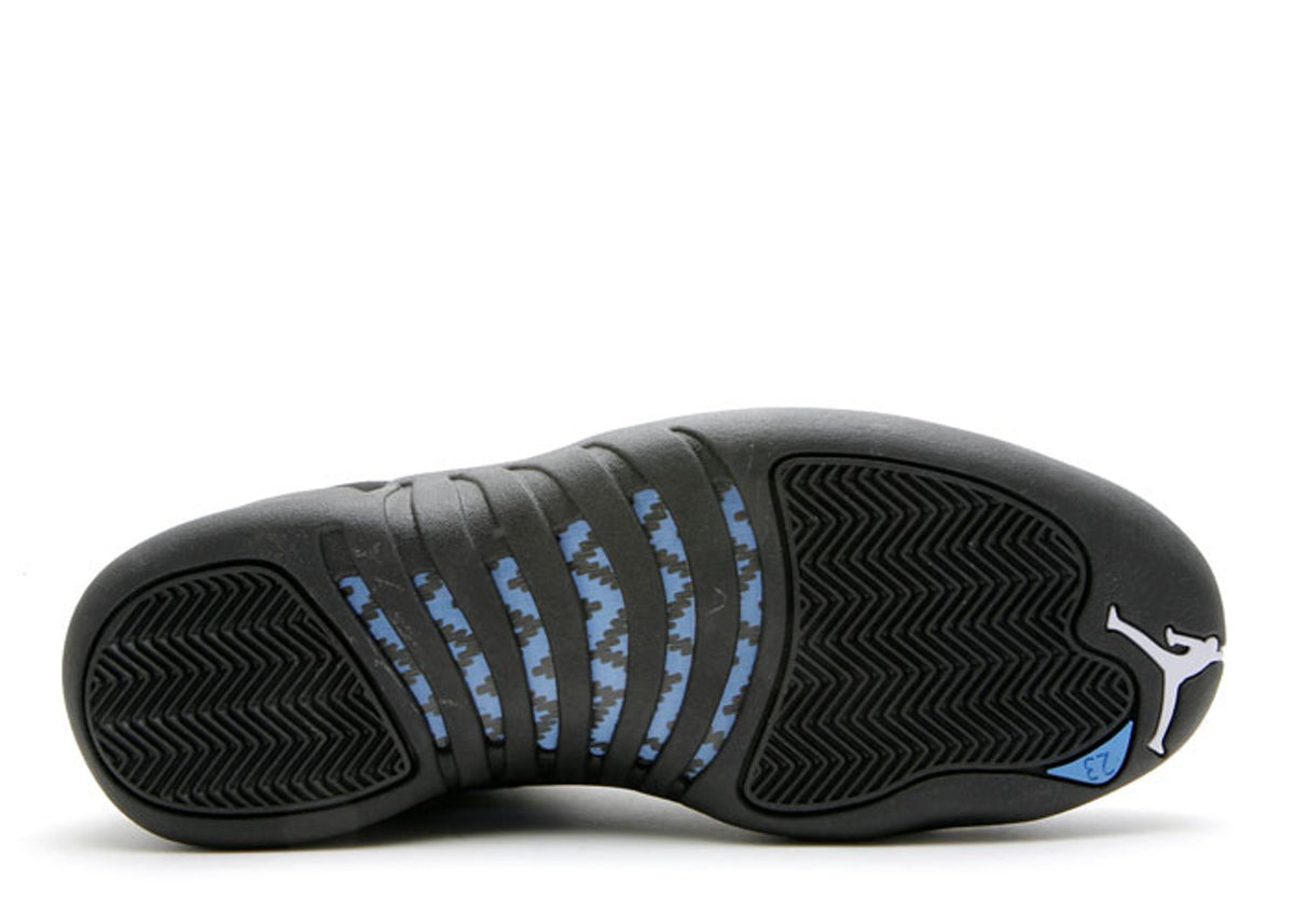 JORDAN 12 RETRO 'NUBUCK' 2009